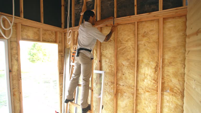 Best Insulation for Existing Homes  in Lovington, NM